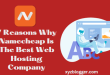 Why Namecheap Is The Best Web Hosting Company